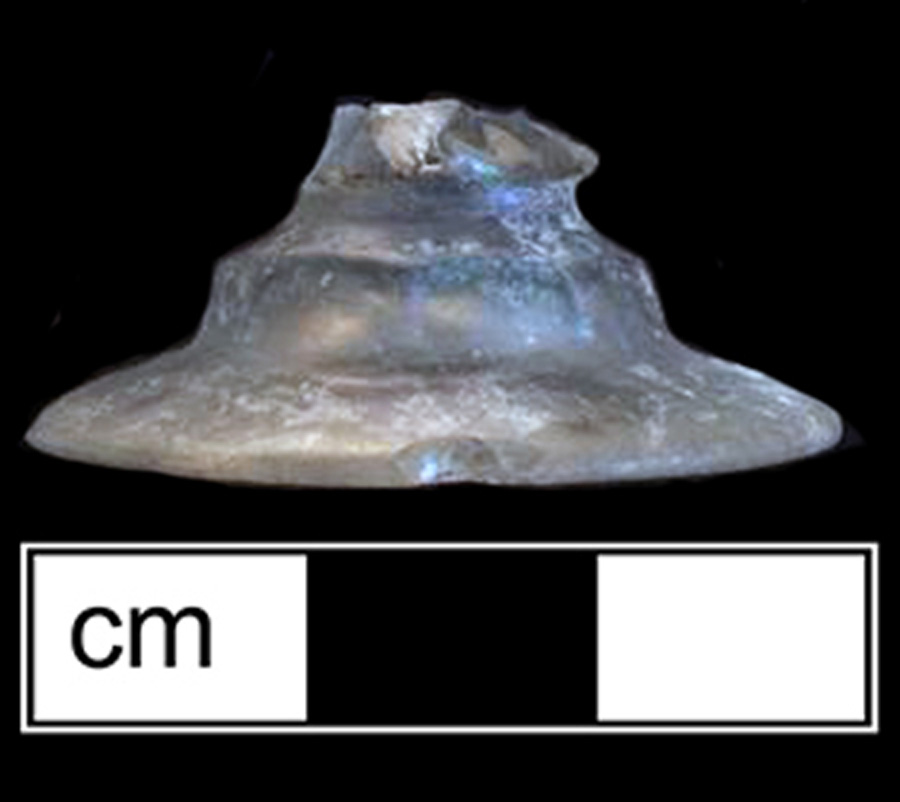 Image of colorless glass stemmed glass.