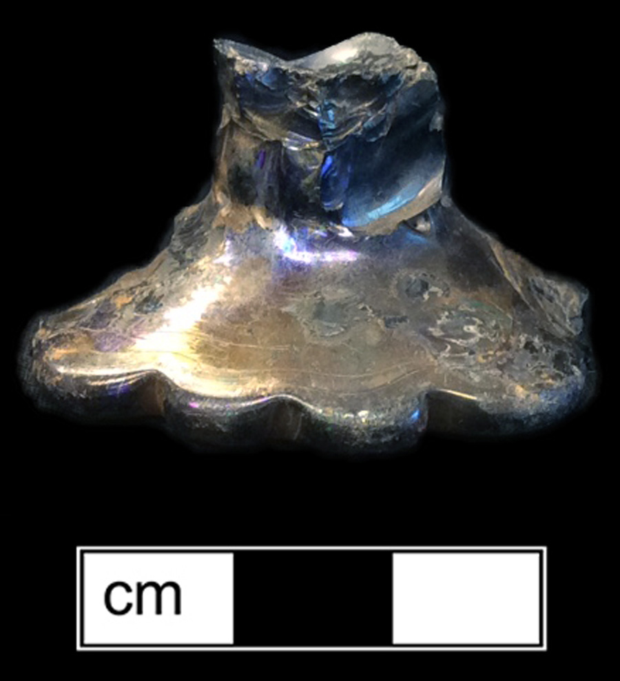 Image of colorless glass stemmed glass.