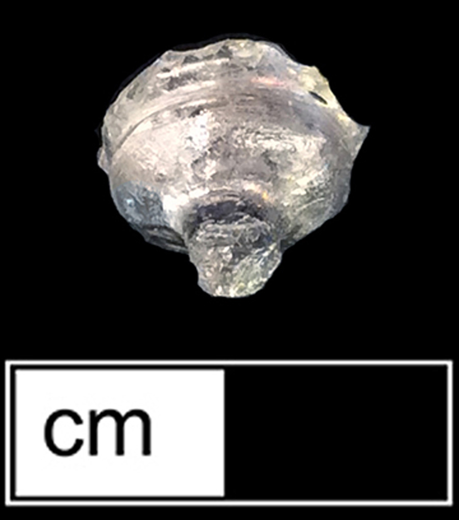 Image of colorless glass stemmed glass.