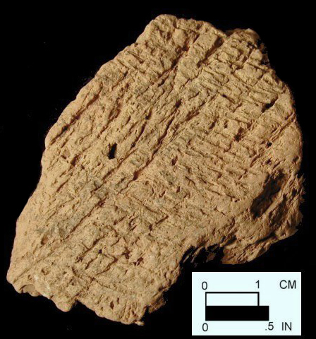 Mockley cord-marked body sherd from Dorr Site 18AN19/69.