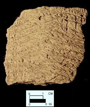 Mockley cord-marked body sherd from Dorr Site 18AN19/69.