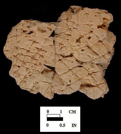 Mockley net-impressed body sherd from Bathhouse, 18AN37/8.