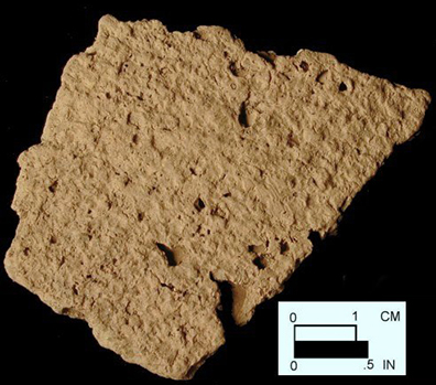 Mockley net-impressed body sherd from Dorr Site 18AN19/133.