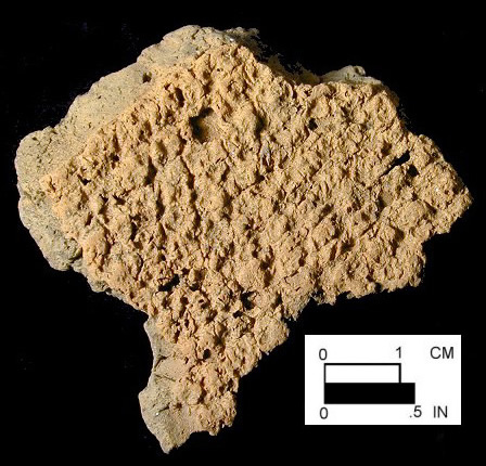 Mockley net-impressed body sherd from Dorr Site 18AN19/133.