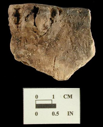Shepard rim sherd with lug, from Biggs Ford site 18FR14/1.
