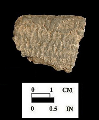 Shepard cord-marked rim sherd from Biggs Ford site 18FR14/152.498.