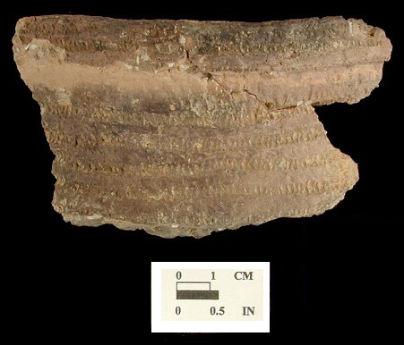 Shepard Rim mended sherds with cord-impressed decoration from the Rosenstock site 18FR18/101.