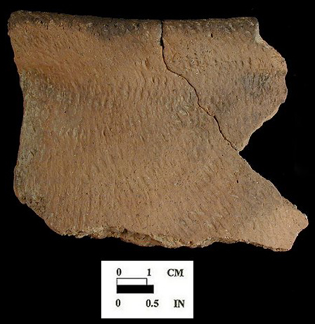 Shepard Rim sherd from the Rosenstock site 18FR18/23.