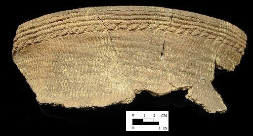 Shepard Rim mended sherds with cord-wrapped dowel decoration from the Rosenstock site 18FR18/27.