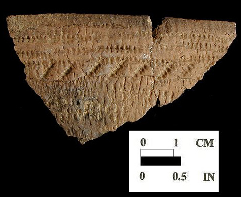 Shepard Rim sherd with cord-wrapped dowel impressed decoration from the Rosenstock site 18FR18/29.