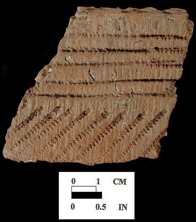Shepard rim sherd decorated with direct cord and cord-wrapped dowel impressions, exterior surface, which shows decoration extending up over lip edge, from the Fout Collection, Maryland.