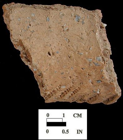 Shepard rim sherd decorated with direct cord and cord-wrapped dowel impressions, interior surface, which shows decoration extending up over lip edge from the Fout Collection, Maryland.