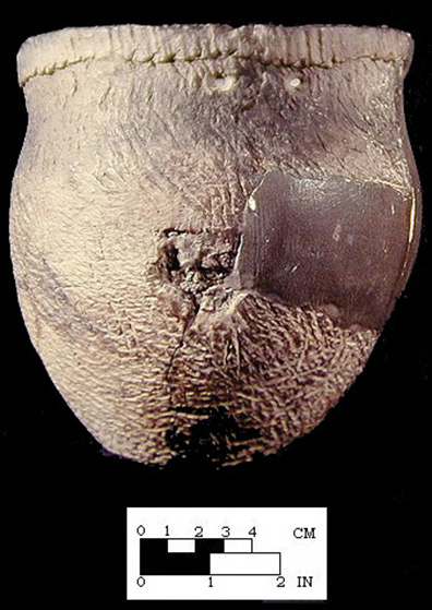Shepard reconstructed vessel from the Shepard site 18MO3-SI Cat. #390889B. - Courtesy of the Smithsonian Institution, Museum of Natural History, Department of Anthropology.