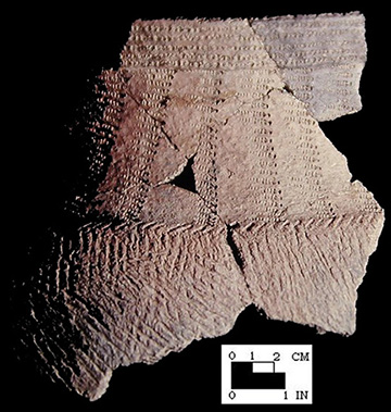 Shepard typical cord-wrapped dowel impressed mended rim and body sherds from the Winslow site 18MO9 - SI Cat. #449644 - Courtesy of the Smithsonian Institution, Museum of Natural History, Department of Anthropology.