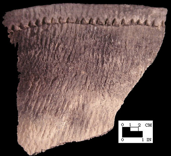 Shepard rim sherd from the Winslow site 18MO9-SI Cat. #449644 - Courtesy of the Smithsonian Institution, Museum of Natural History, Department of Anthropology.
