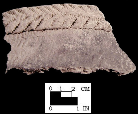 Shepard cord-wrapped dowel impressed rim sherd from the Winslow site 18MO9-SI Cat. #449644 - Courtesy of the Smithsonian Institution, Museum of Natural History, Department of Anthropology.