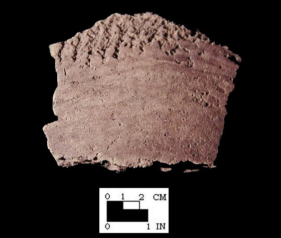 Mockley net-impressed base sherd exterior smoothed-over on lower portion&nbsp;from the Piscataway site 18PR7-SI Cat. #416925-Courtesy of the Smithsonian Institution, Museum of Natural History, Department of Anthropology.