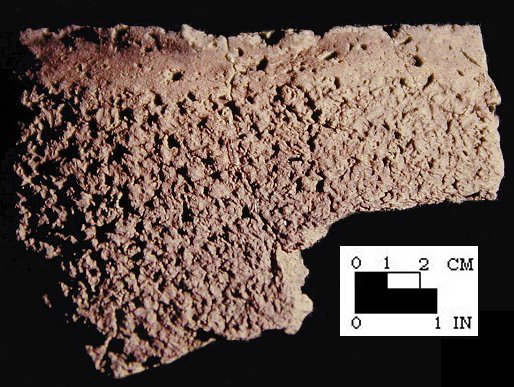 Mockley rim sherd with finger-smoothed line at lip from the Piscataway site 18PR7-SI Cat. #416925-Courtesy of the Smithsonian Institution, Museum of Natural History, Department of Anthropology.