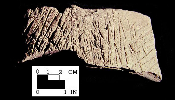 Mockley cord-marked rim sherd from the Piscataway site 18PR7-SI Cat. #416925-Courtesy of the Smithsonian Institution, Museum of Natural History, Department of Anthropology.