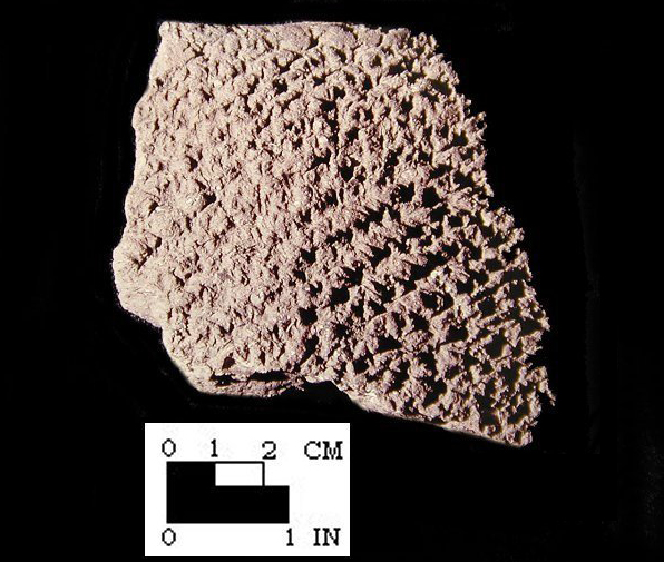 Mockley close-set net-impressed rim sherd from the Piscataway site 18PR7-SI Cat. #416925-Courtesy of the Smithsonian Institution, Museum of Natural History, Department of Anthropology.