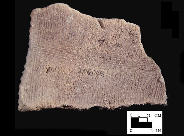 Popes Creek interior scoring on body sherd from Popes Creek site 18CH74-SI Cat. #209006-Courtesy of the Smithsonian Institution, Museum of Natural History, Department of Anthropology.