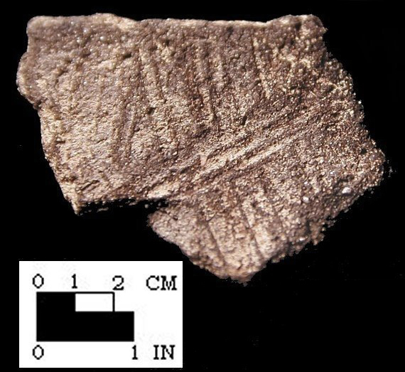 Popes Creek interior scoring on body sherd from Charles County, MD.