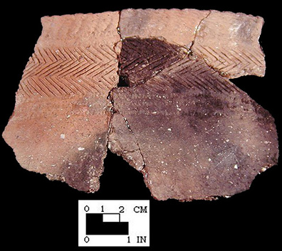 Townsend Series incised and cord-wrapped dowel impressed mended rim sherd from the Townsend site 7S-G-2, SI Cat #397780 - Courtesy of the Smithsonian Institution, Museum of Natural History, Department of Anthropology.