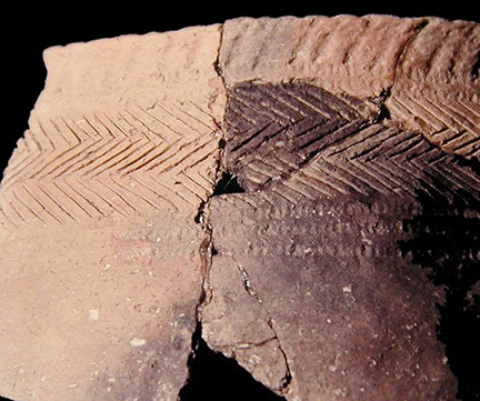 Close-up of Townsend Series incised and cord-wrapped dowel impressed mended rim sherd from the Townsend site 7S-G-2, SI Cat #397780 - Courtesy of the Smithsonian Institution, Museum of Natural History, Department of Anthropology.