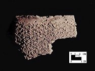 Mockley rim sherd with finger-smoothed line at lip from the Piscataway site 18PR7-SI Cat. #416925-Courtesy of the Smithsonian Institution, Museum of Natural History, Department of Anthropology.