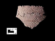 Popes Creek rim sherd with punctated lip and incised 'V's, from Popes Creek site 18CH74-SI Cat.#107502-Courtesy of the Smithsonian Institution, Museum of Natural History, Department of Anthropology.