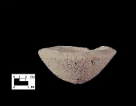 Popes Creek base sherd from Popes Creek site 18CH74-SI Cat.#155087-Courtesy of the Smithsonian Institution, Museum of Natural History, Department of Anthropology.
