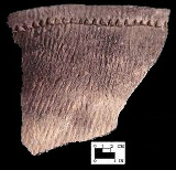 Shepard rim sherd from the Winslow site 18MO9-SI Cat. #449644 - Courtesy of the Smithsonian Institution, Museum of Natural History, Department of Anthropology.