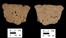 Mockley cord-marked body sherd exterior surface from Nassawango site 18WO23/5H.