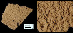 Mockley net-impressed body sherd from Dorr Site 18AN19/133-closeup shown on right.