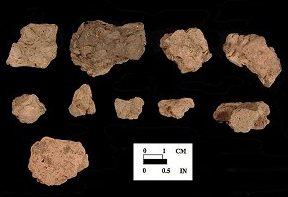 Mockley Body sherds from Ashcomb's Quarter and Awapantop, 18CV362.