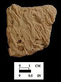 Mockley eroded body sherd exterio from Bathhouse, 18AN37/8.