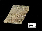 Popes Creek rim sherd with finger-smoothed horizontal lines from Chapel Point site 18CH79/1.001.
