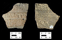 Popes Creek rim sherd with finger-smoothed horizontal lines on left and scored interior surface on right, from�Chapel�Point site 18CH79/13.