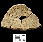 Popes Creek net-impressed body sherd, exterior surface on left, interior on right, from the Dorr site 18AN19/46.