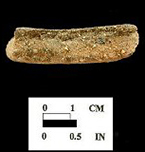 Popes Creek net-impressed body sherd on left, close up view of the paste on right from site 18CH136. 