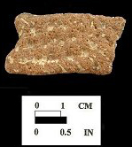 Popes Creek net-impressed body sherd on left, close up view of the paste on right from site 18CH136.
