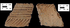 Shepard rim sherd decorated with direct cord and cord-wrapped dowel impressions, exterior surface, which shows decoration extending up over lip edge, from the Fout Collection, Maryland.