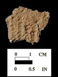 Townsend Series fabric-impressed body sherds (2 of 2) from the Nassawango site 18WO23/5.