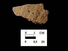 Townsend Series body sherd with smoothed exterior from the Nassawango site 18WO23/5.