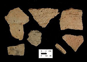 Townsend Series Rappahannock fabric-impressed body sherds from Miller site 18WC68/9.