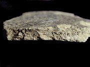 Townsend Series Rappahannock fabric-impressed rim sherd paste cross-section from Maddox Island 2, site 18SO240.