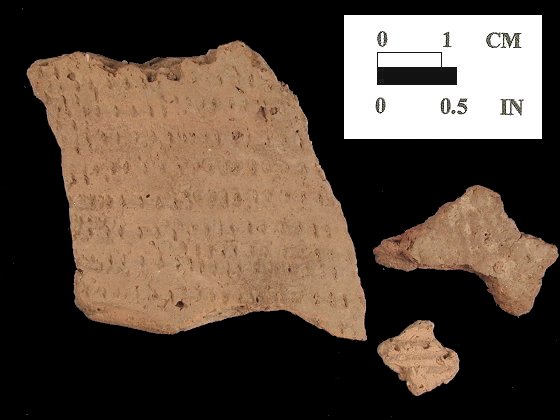 Townsend Series rim and body sherds from Ashcomb's Quarter and Awapantop site 18CV362/117 - Courtesy Naval District Washington, Southern Region.