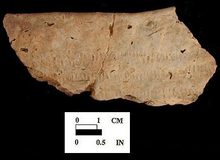 Townsend Series mended rim sherds from Ashcomb's Quarter and Awapantop site 18CV362/2 - Courtesy Naval District Washington, Southern Region.