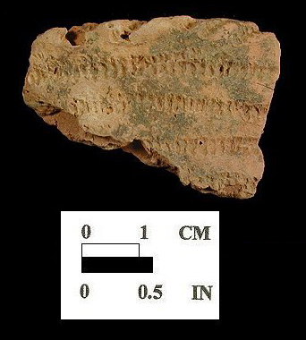 Townsend Series cord-wrapped dowel impressed rim sherd from the Nassawango site 18WO23/5.