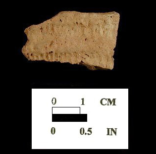 Townsend Series fabric-impressed body sherd from the Nassawango site 18WO23/5.